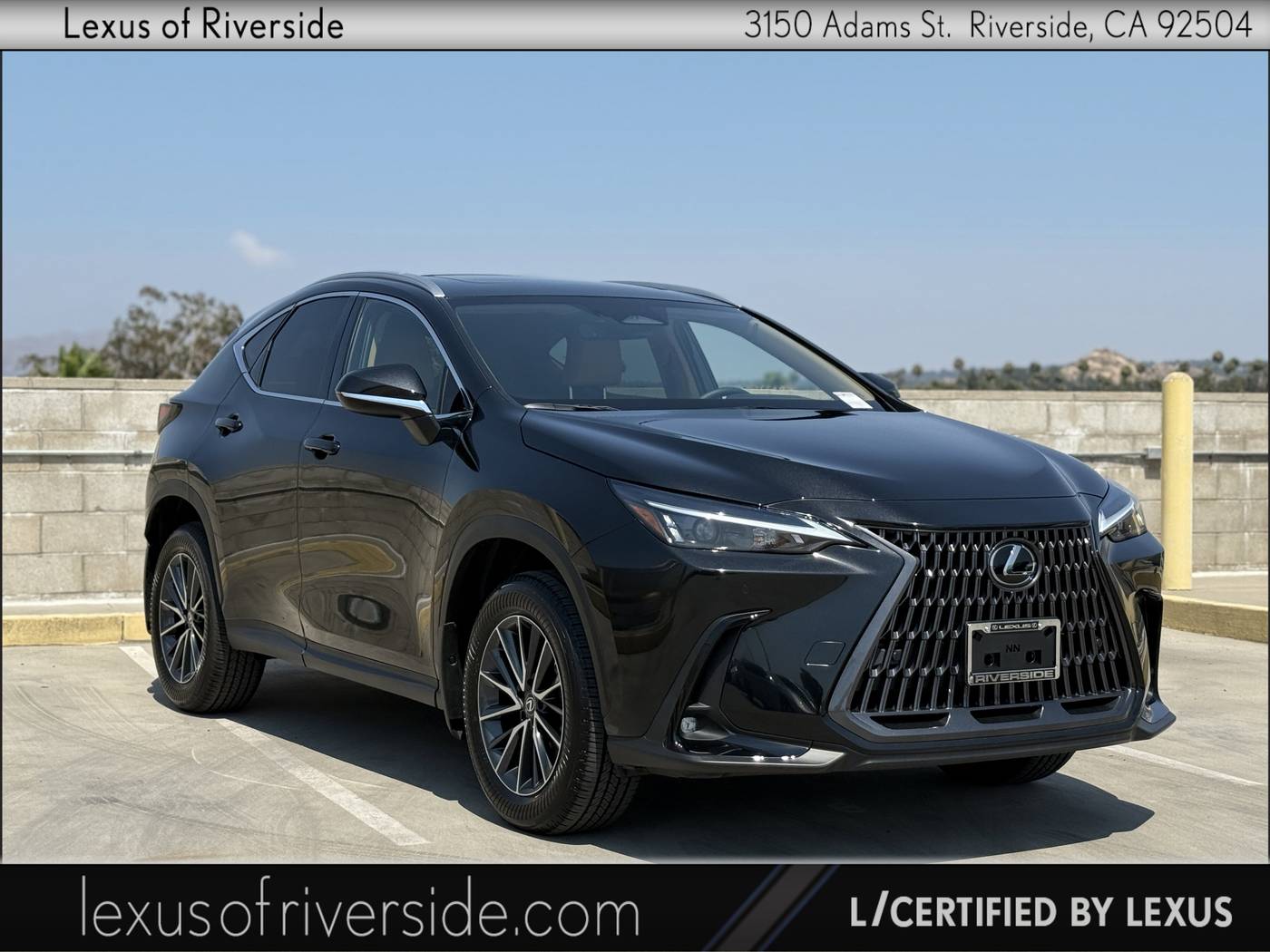 2025 Lexus NX