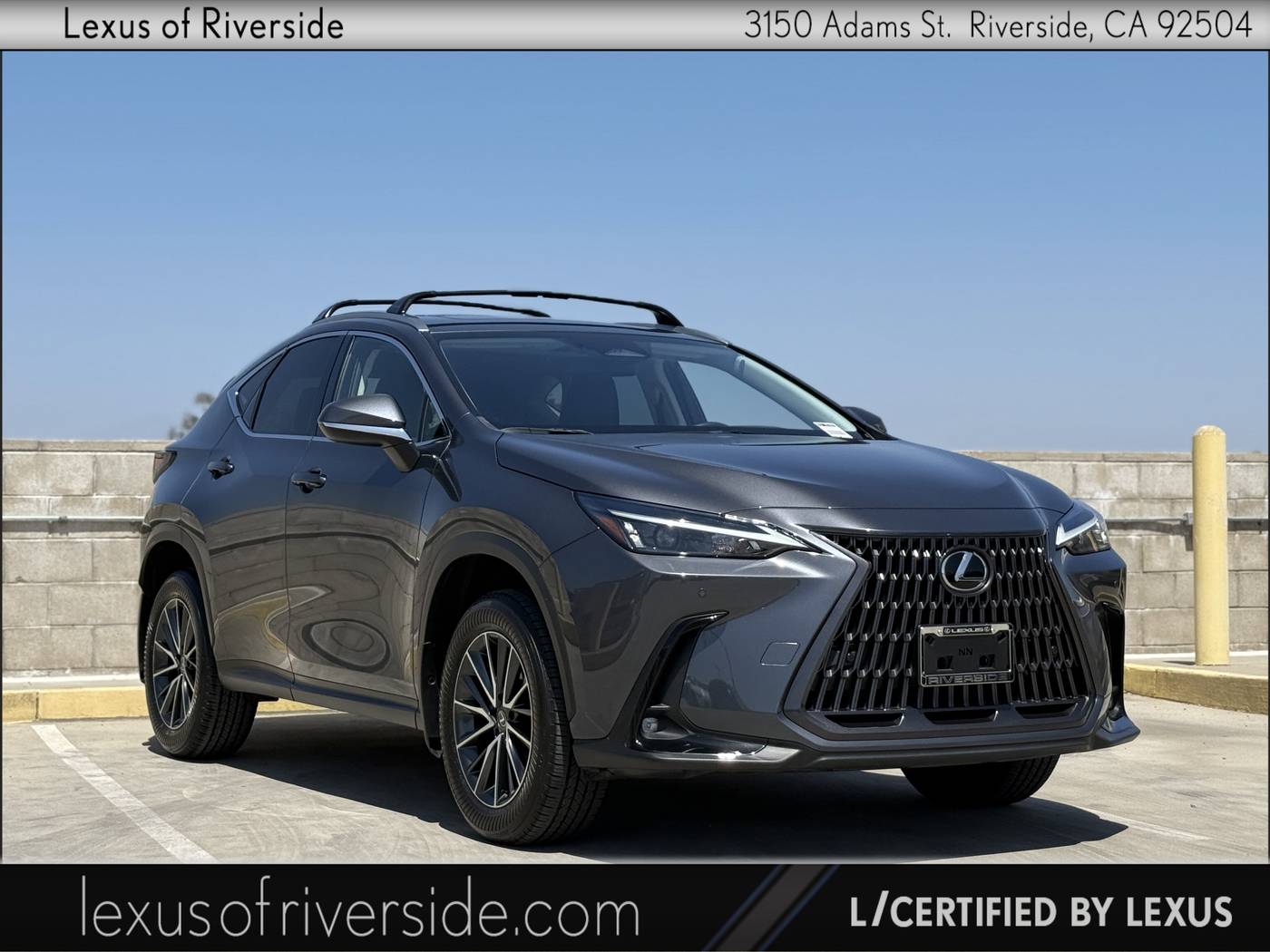 2024 Lexus NX