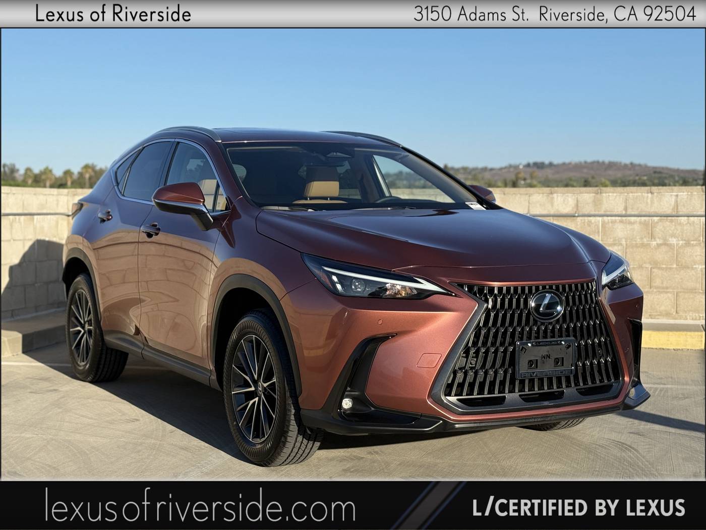 2025 Lexus NX