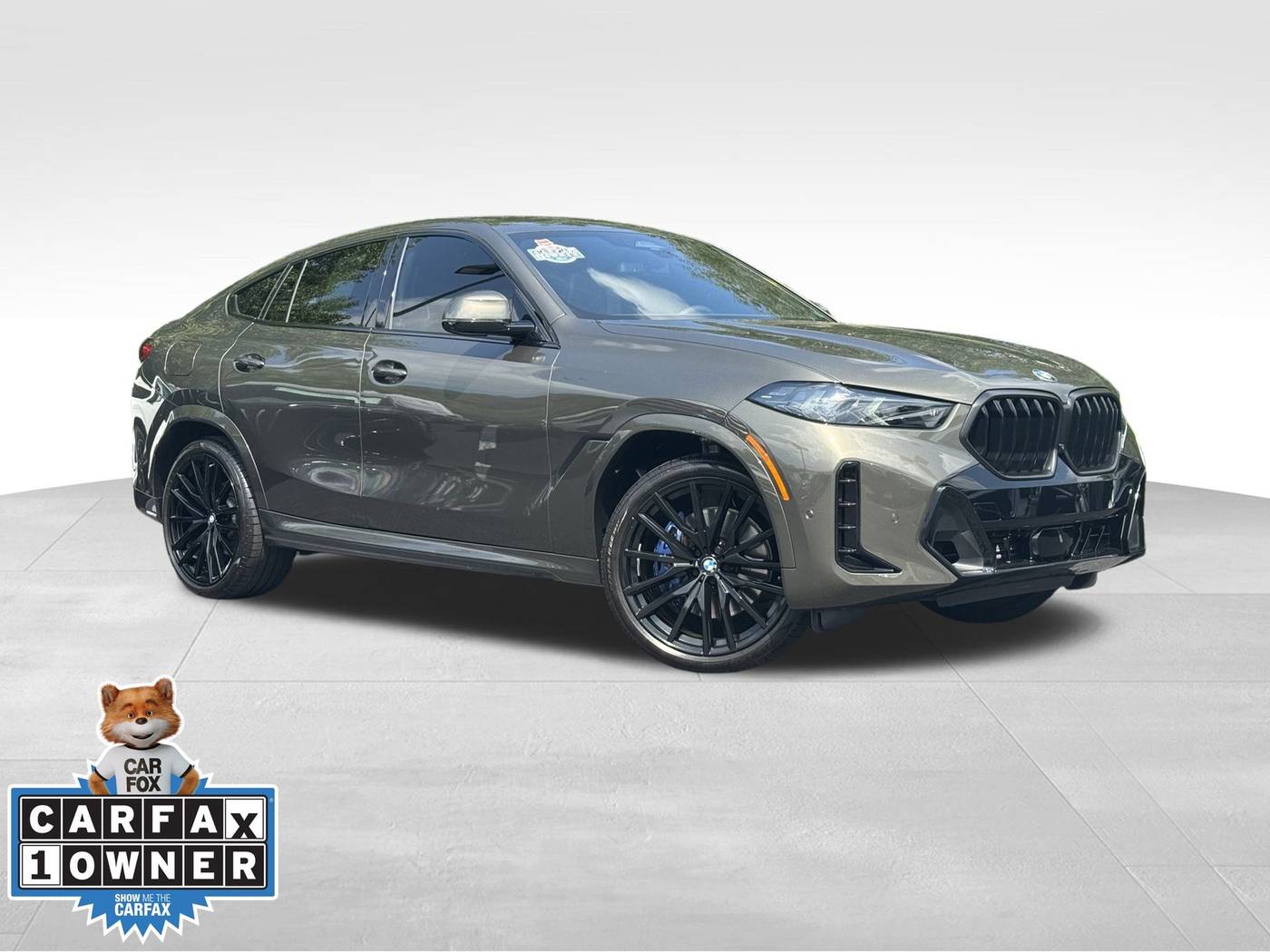 2025 BMW X6
