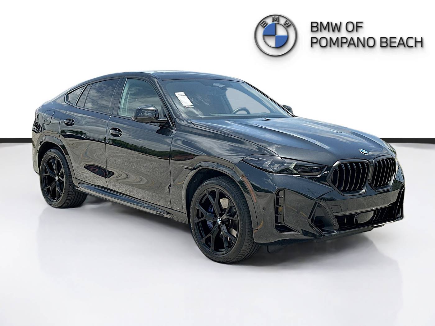 2024 BMW X6