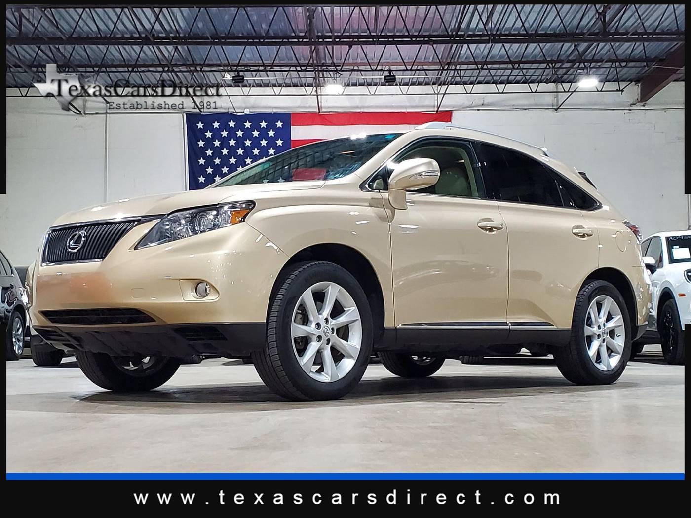 2010 Lexus Rx 350