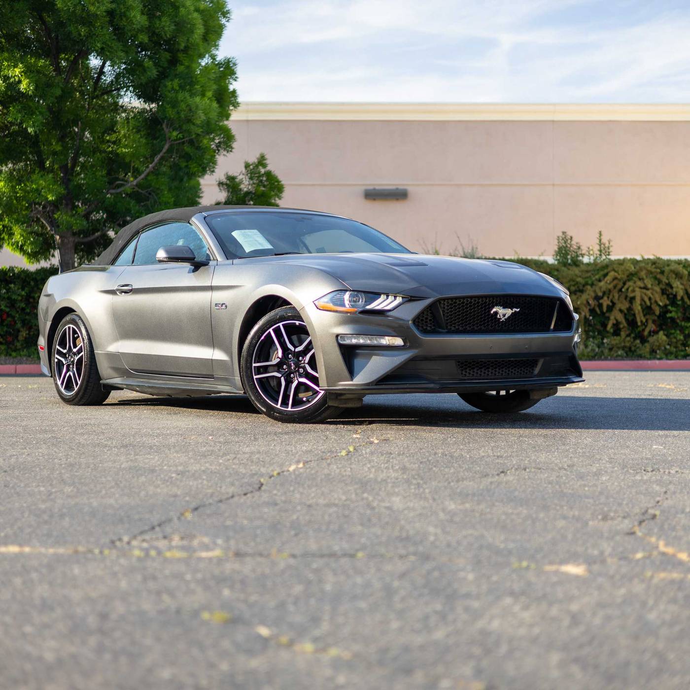 2019 Ford Mustang
