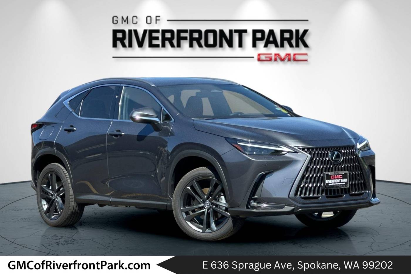 2024 Lexus NX