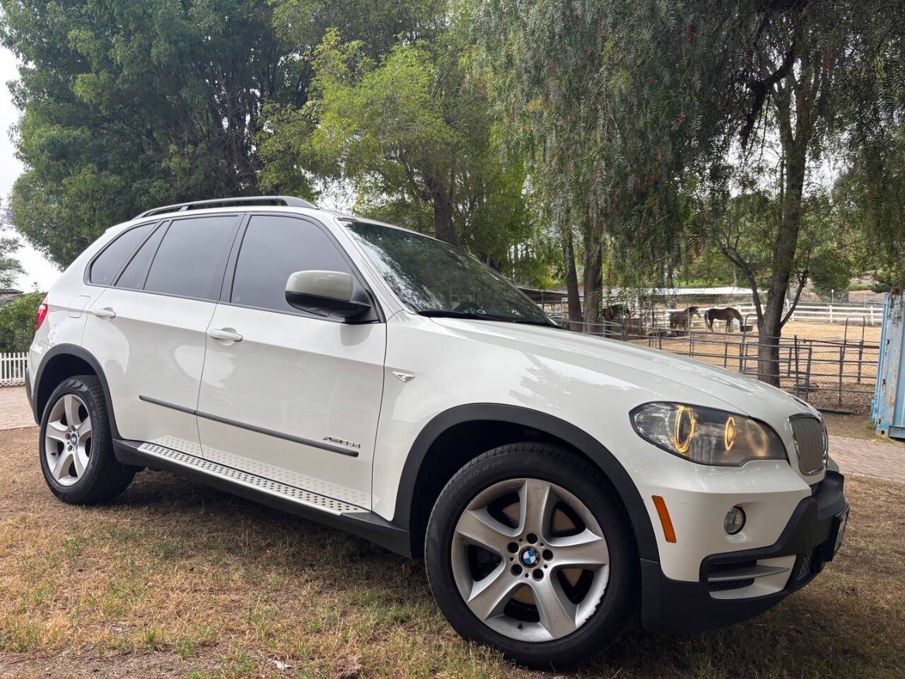 2010 BMW X5