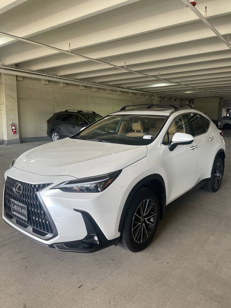 2025 Lexus NX