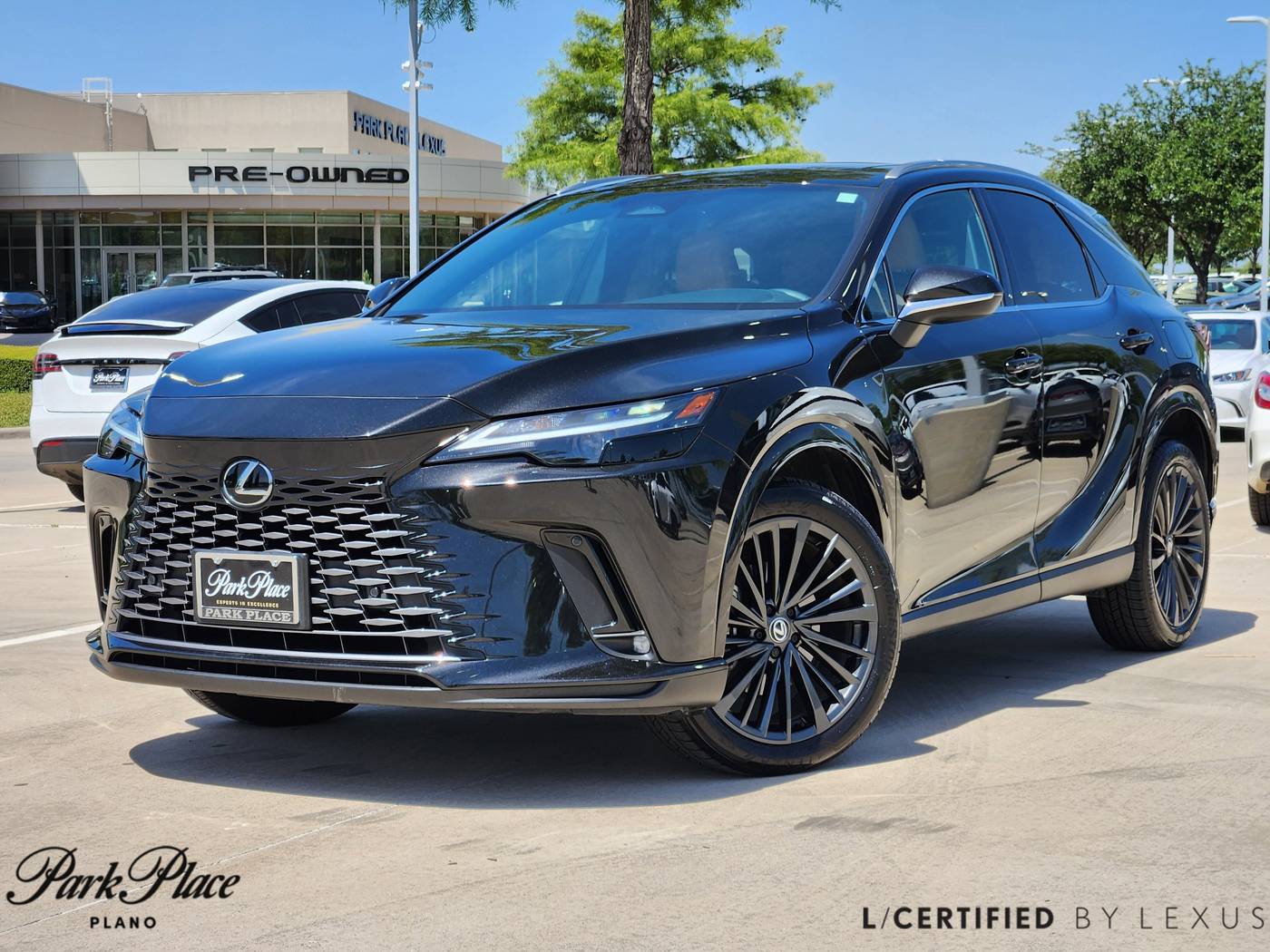 2025 Lexus RX