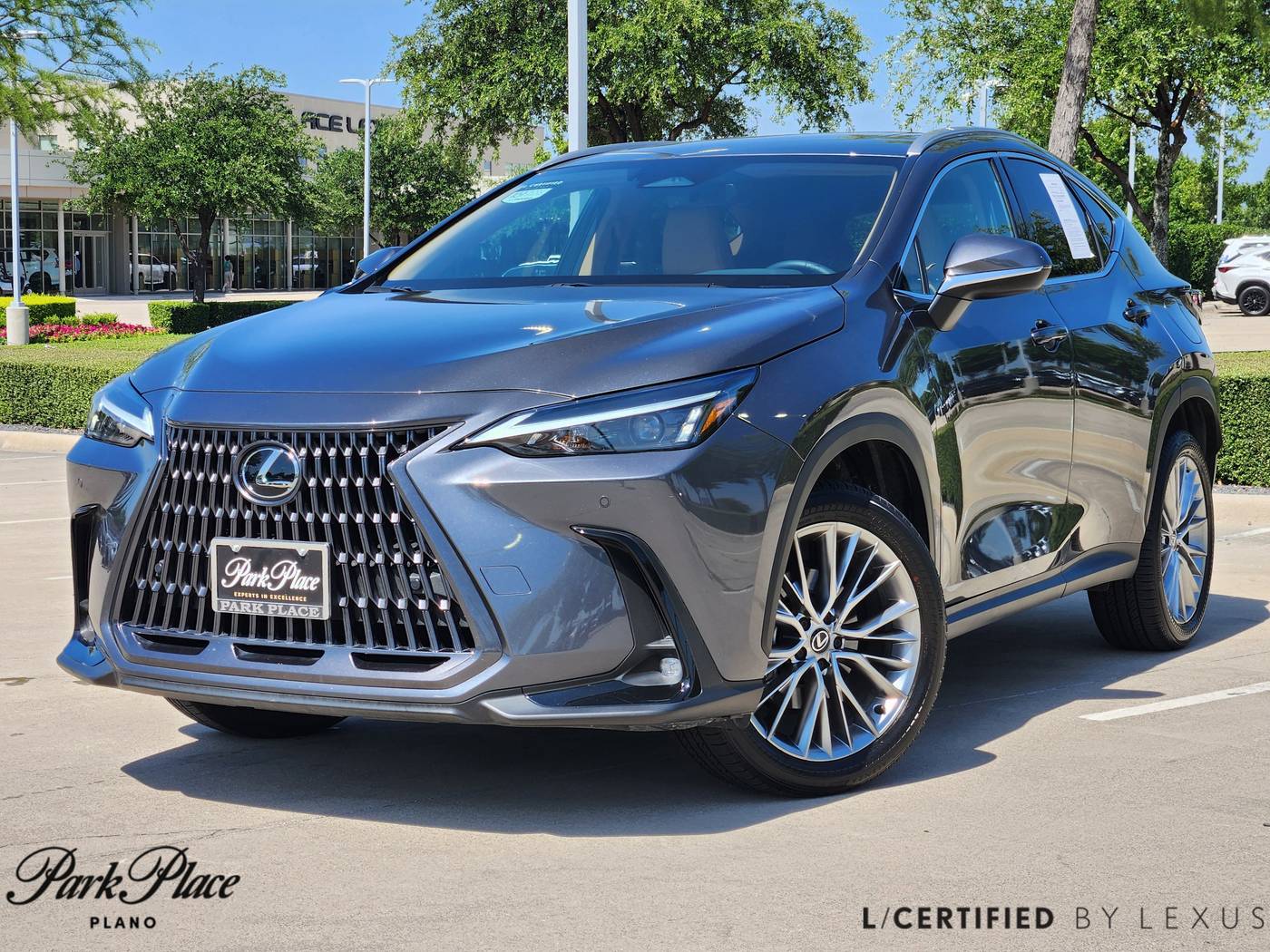 2025 Lexus NX