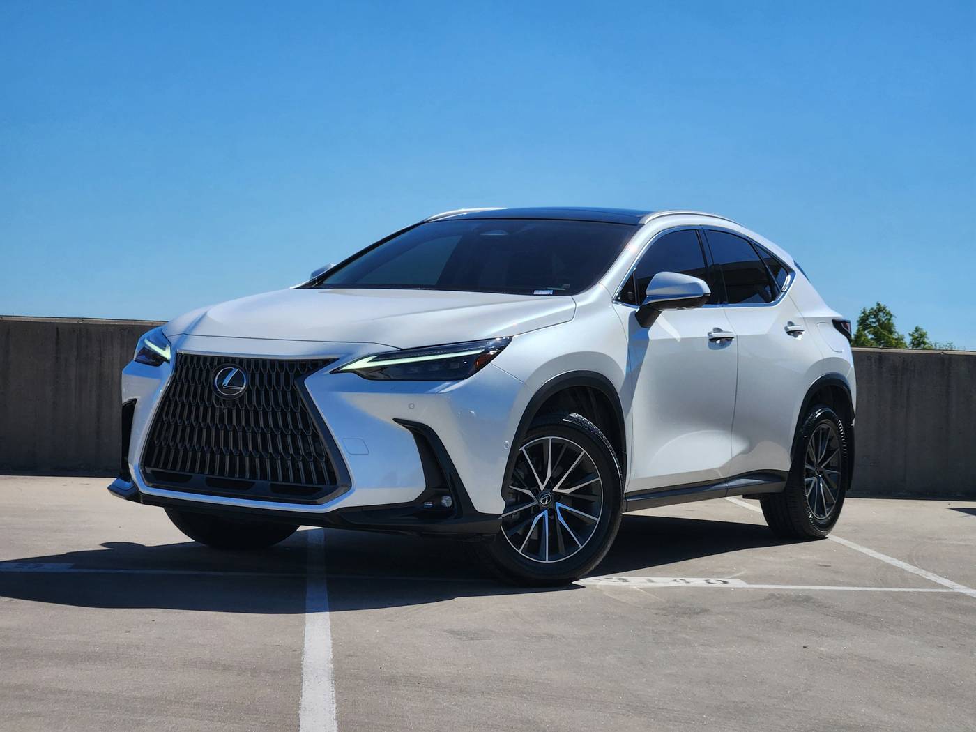 2024 Lexus NX