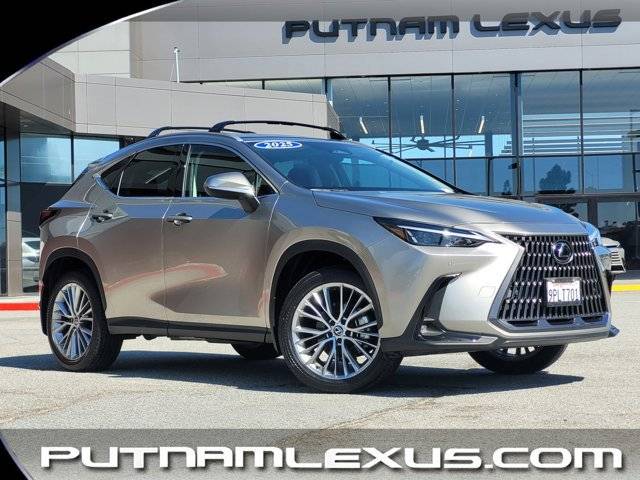 2025 Lexus NX