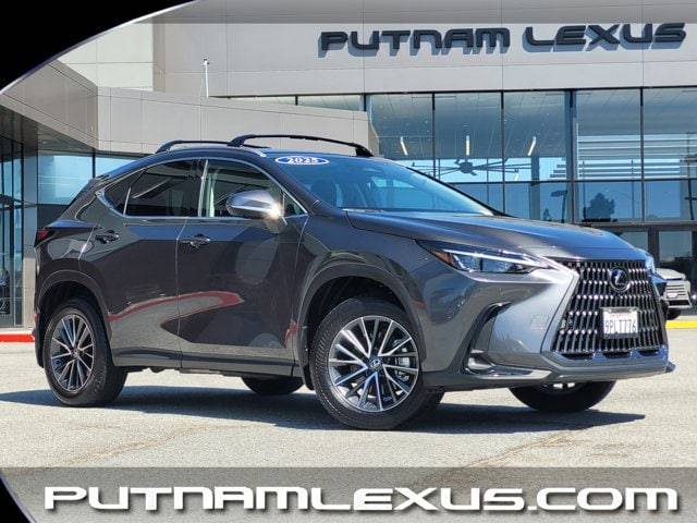 2025 Lexus NX