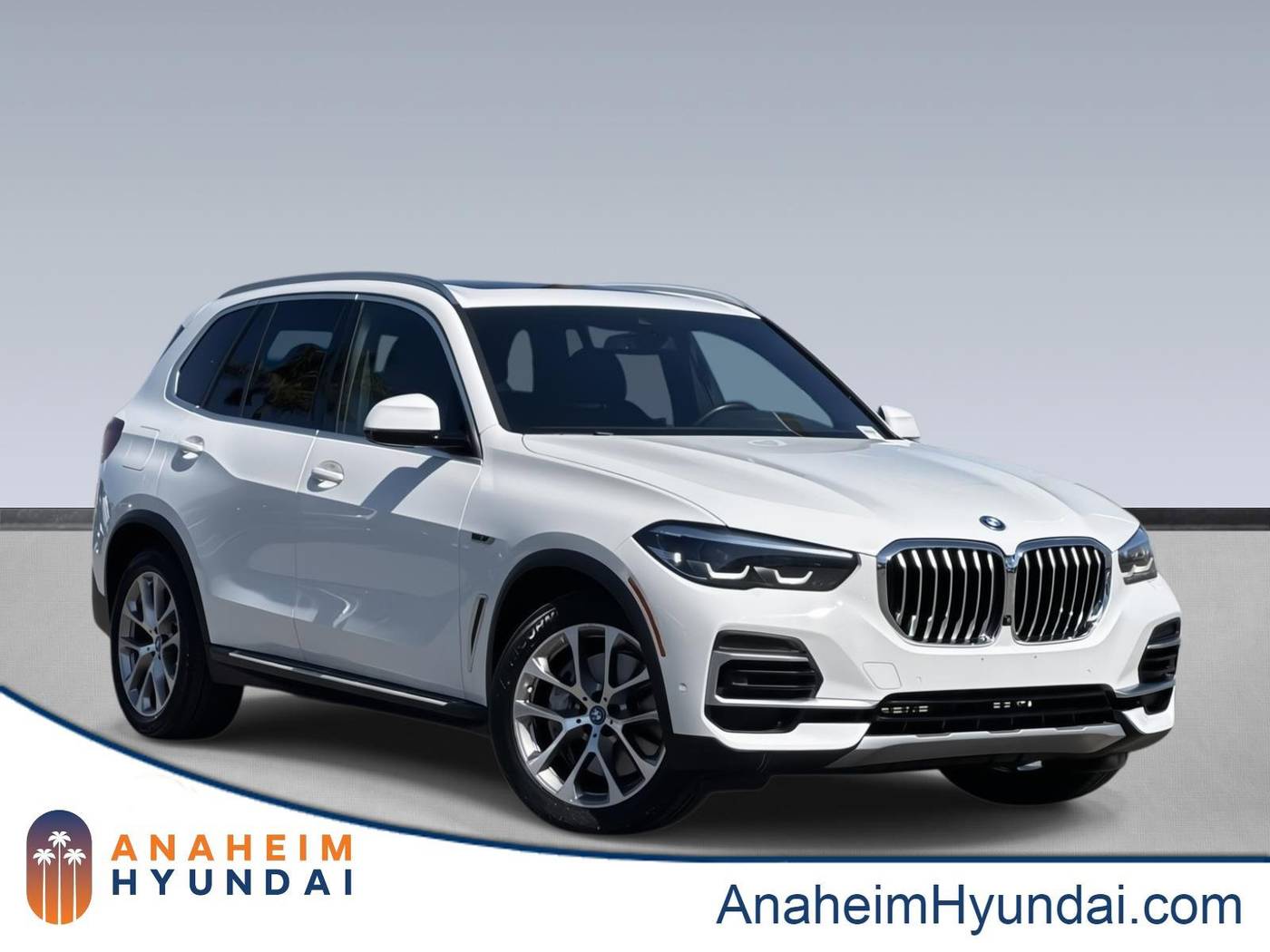 2023 BMW X5