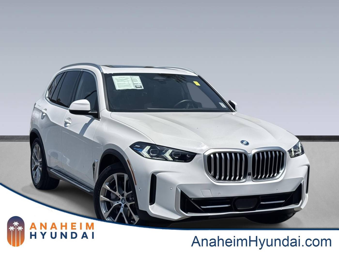 2024 BMW X5