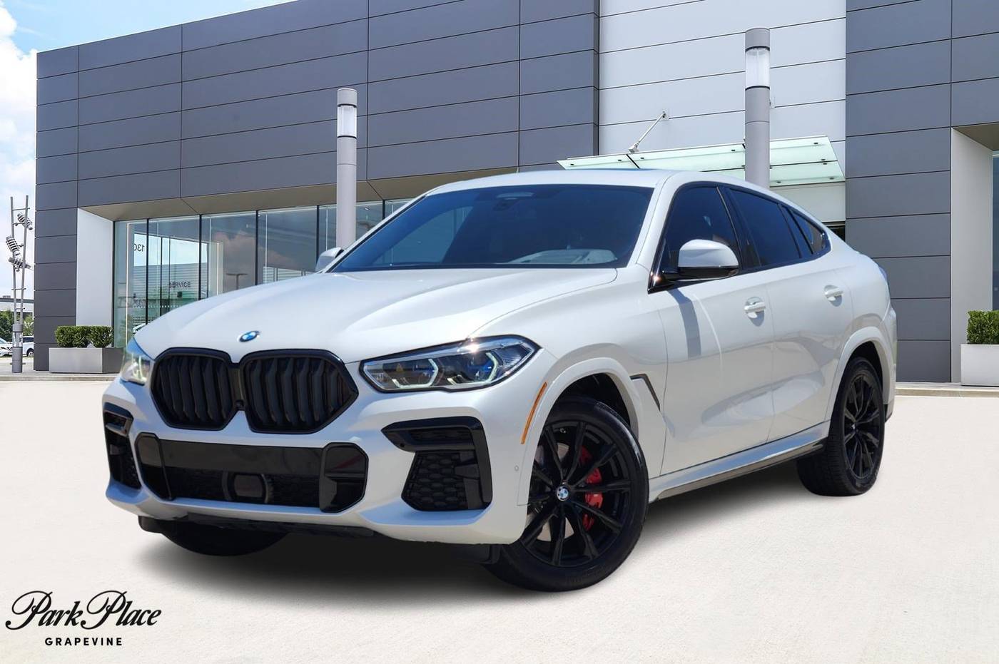 2022 BMW X6