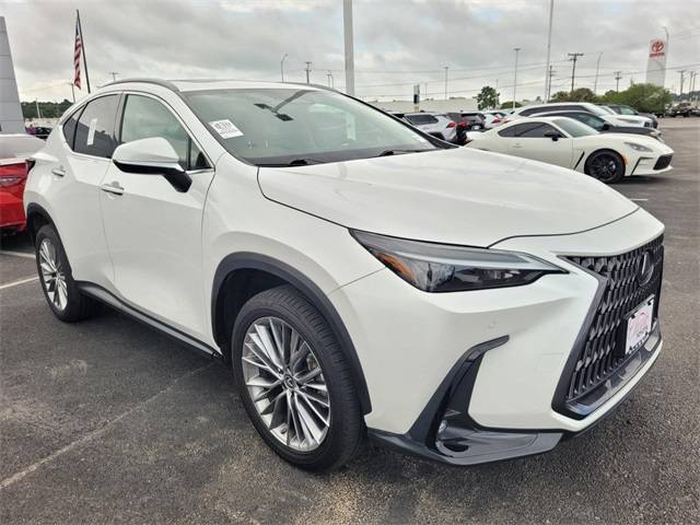 2022 Lexus NX