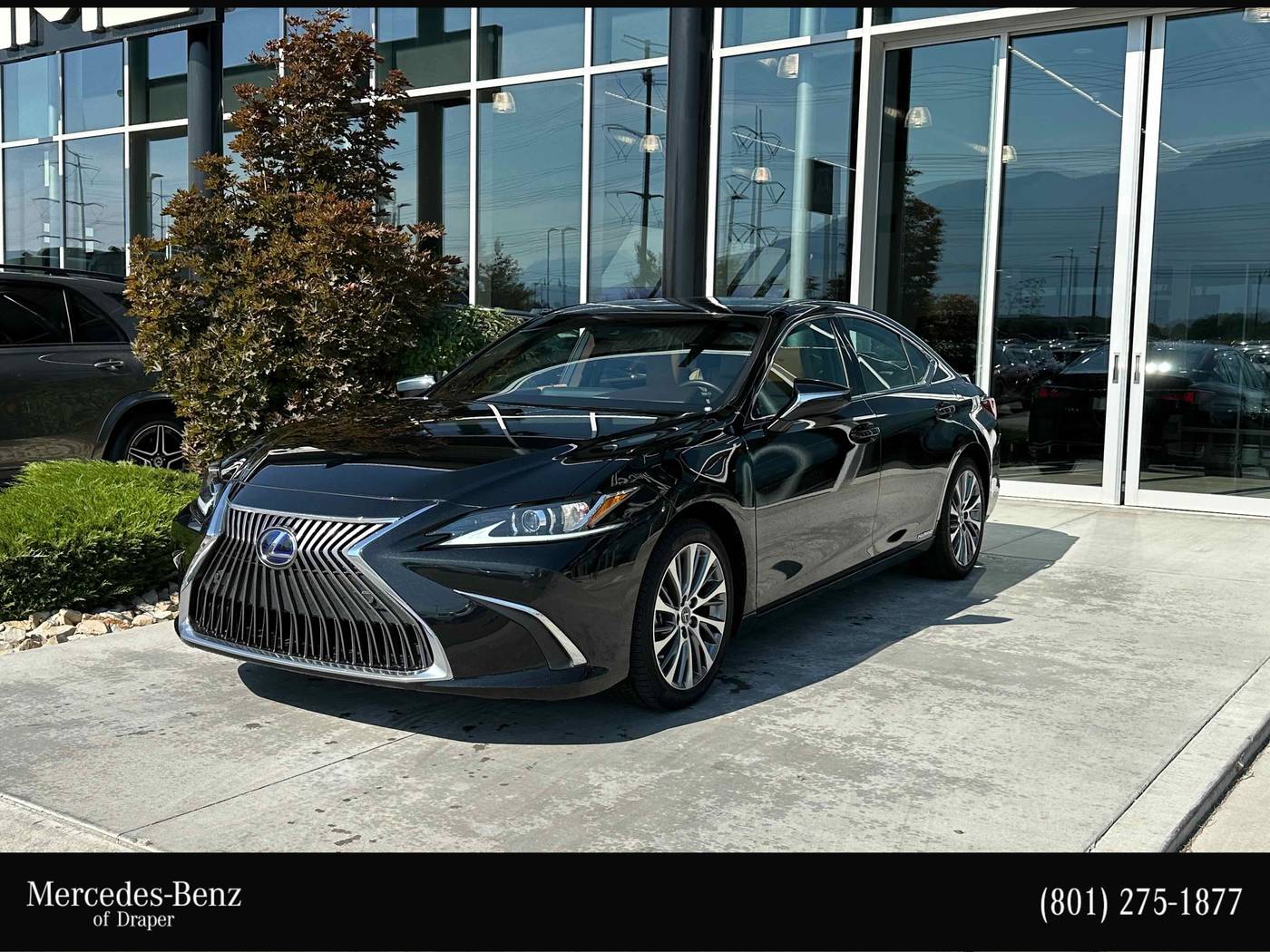 2020 Lexus ES