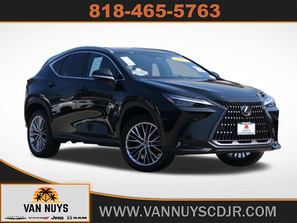 2024 Lexus NX