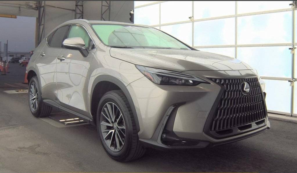 2024 Lexus NX