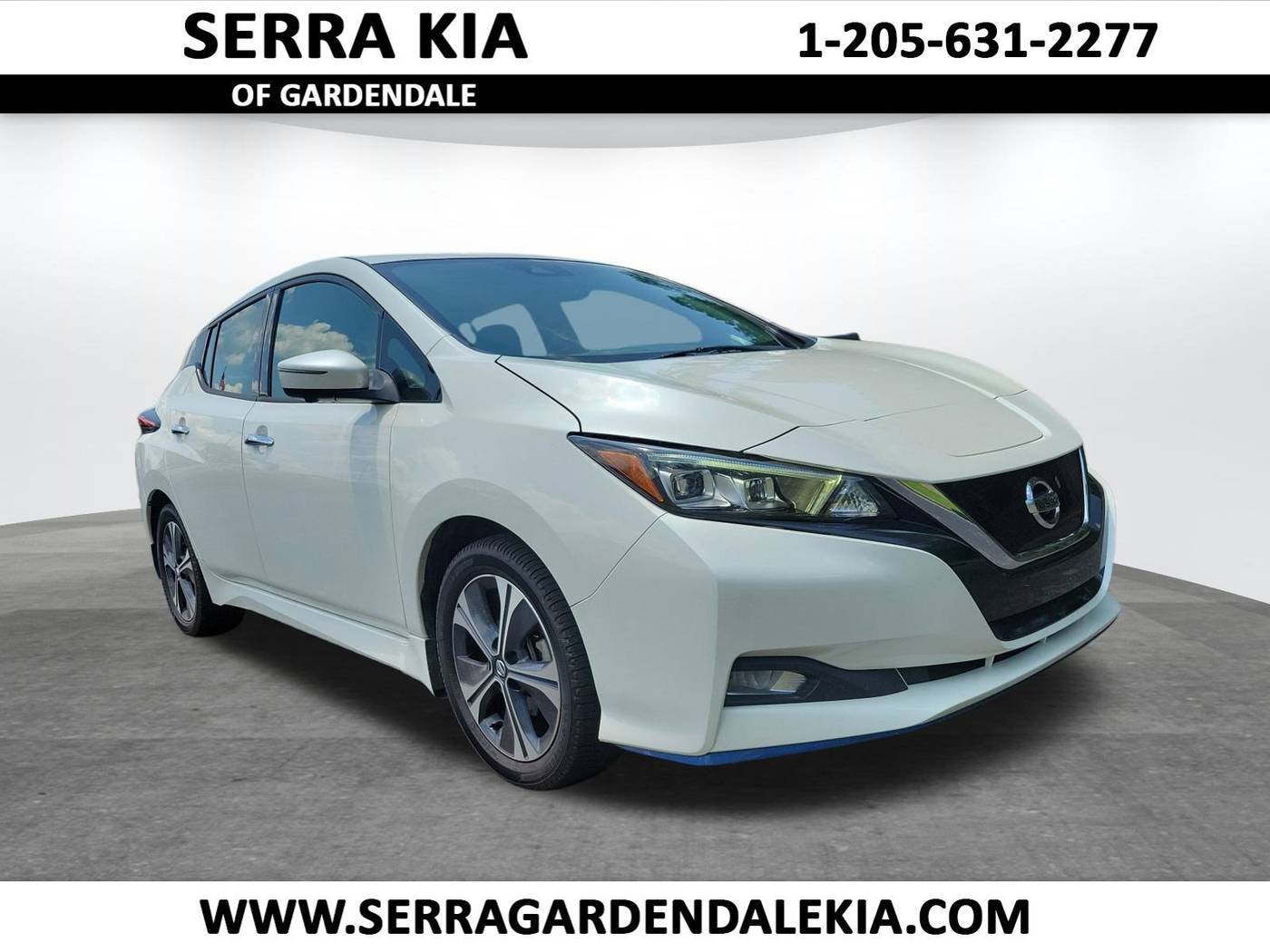 2021 Nissan Leaf