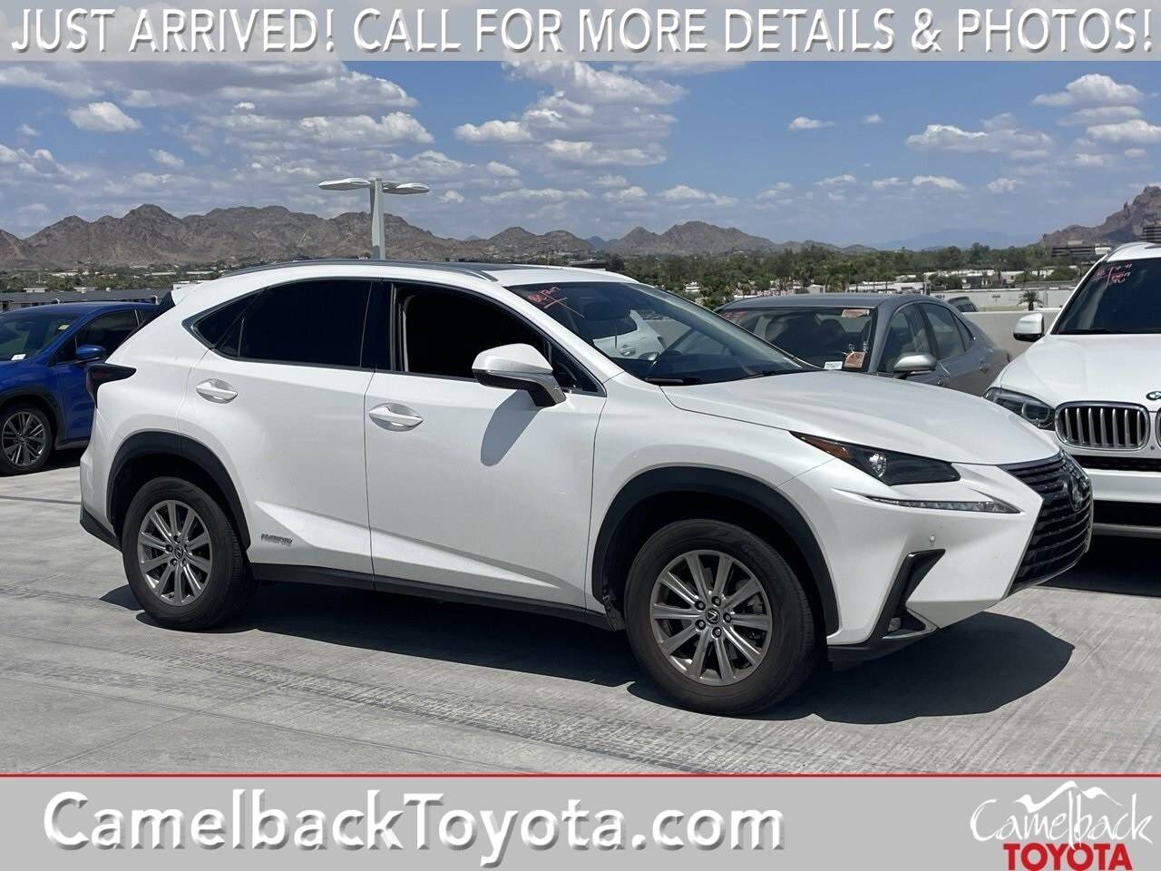 2020 Lexus NX