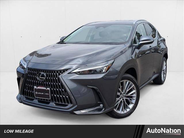 2025 Lexus NX