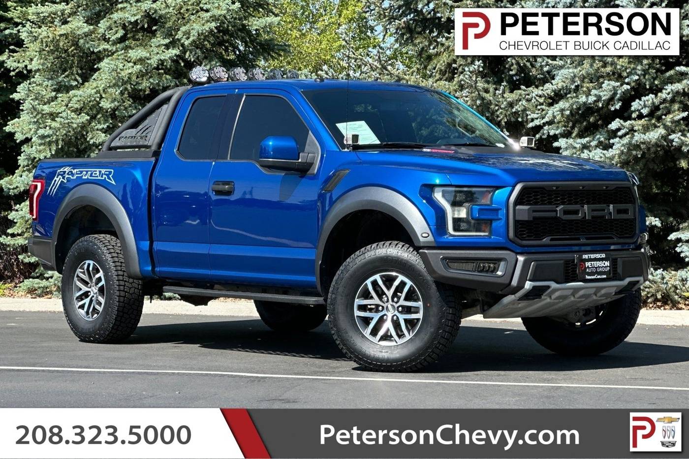 2017 Ford F-150 Raptor — Pickup Truck — 80,041 mi — Boise, ID