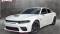 2023 Dodge Charger in Pembroke Pines, FL 1 - Open Gallery