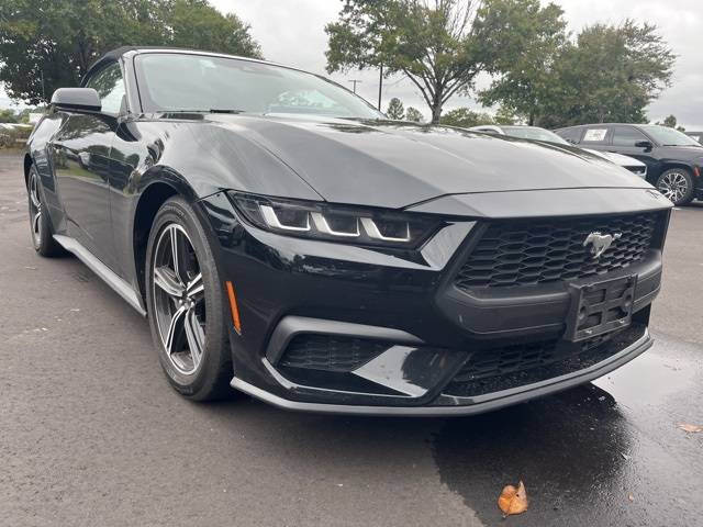 2024 Ford Mustang EcoBoost Premium — Convertible — 42,756 mi — Summerville, SC