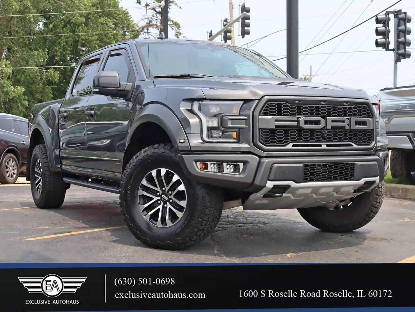 2019 Ford F-150 Raptor — Pickup Truck — 96,331 mi — Roselle, IL