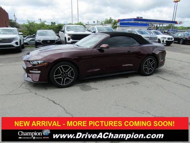 2018 Ford Mustang EcoBoost Premium — Convertible — 52,953 mi — La Grange, KY
