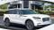 2024 Lincoln Aviator in Jacksonville, FL 1 - Open Gallery