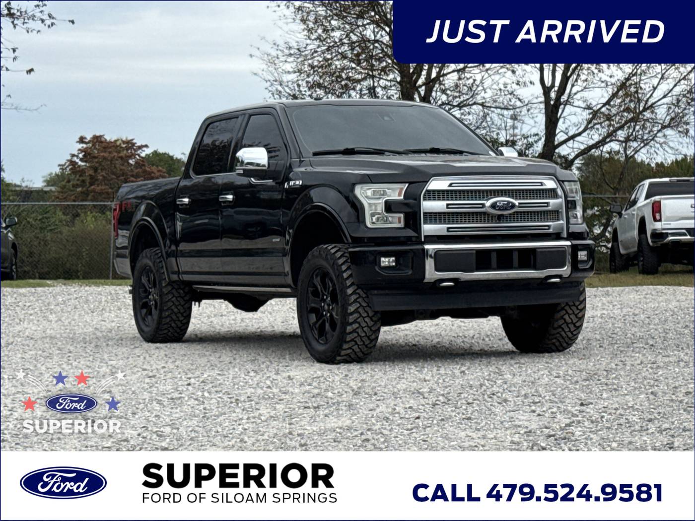 2017 Ford F-150 Platinum — Pickup Truck — 89,089 mi — Siloam Springs, AR