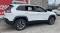2019 Jeep Cherokee in Chicago, IL 4 - Open Gallery