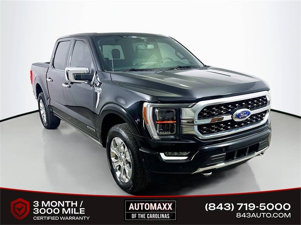2021 Ford F-150 Platinum — Pickup Truck — 89,962 mi — Summerville, SC