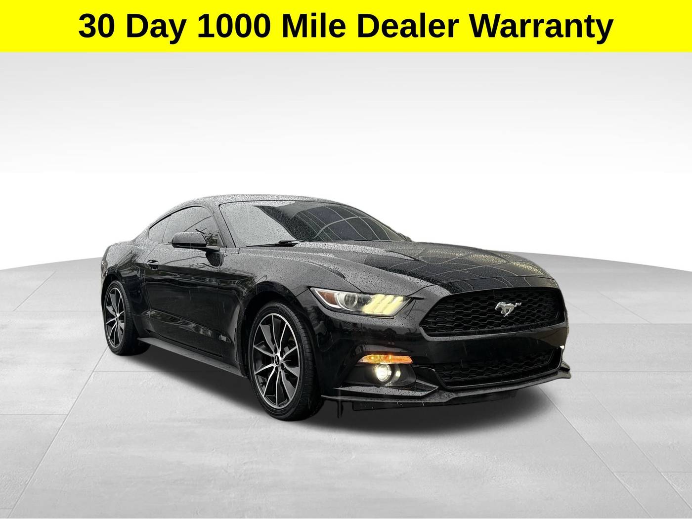 2017 Ford Mustang EcoBoost — Coupe — 64,021 mi — Shepherdsville, KY