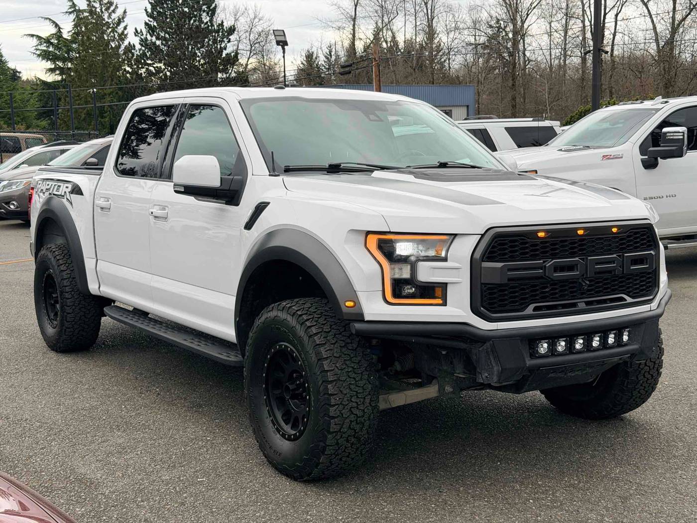 2018 Ford F-150 Raptor