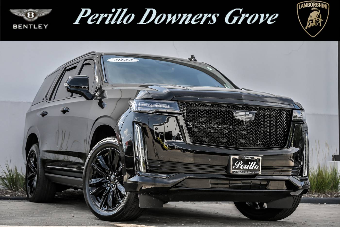 2022 Cadillac Escalade Sport Platinum — SUV — 33,892 mi — Downers Grove, IL