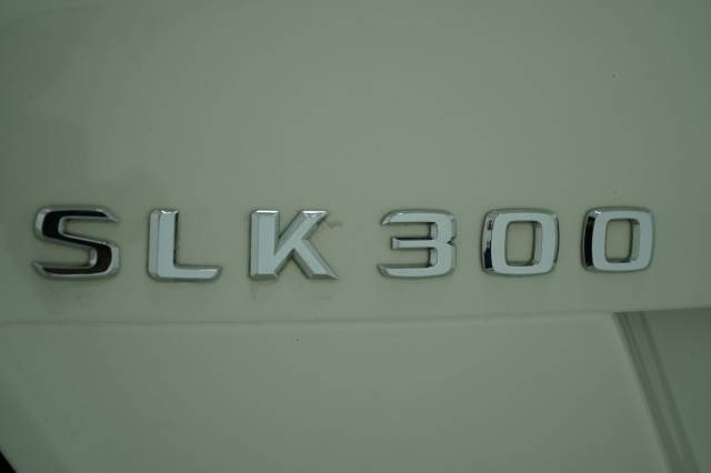 Photo 50