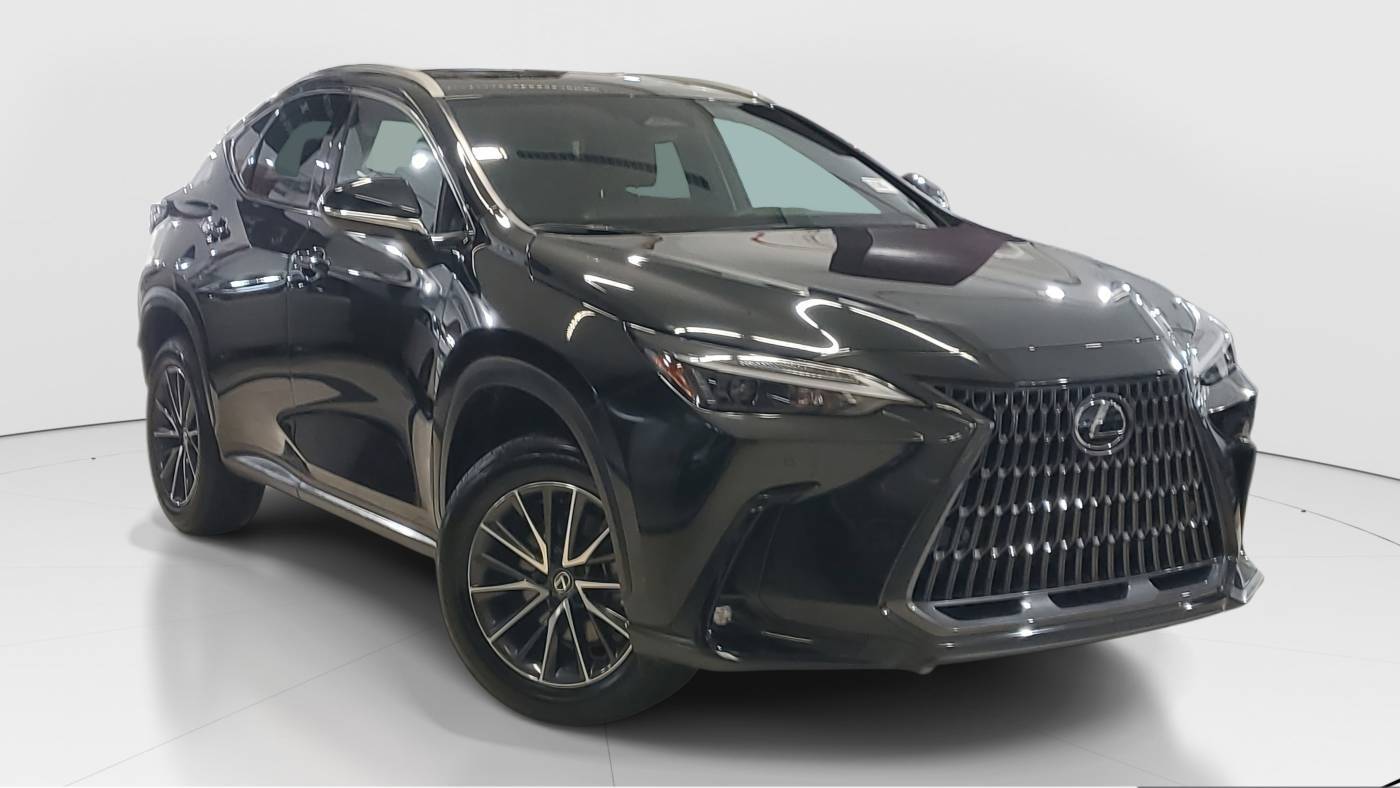 2025 Lexus NX 250 Premium