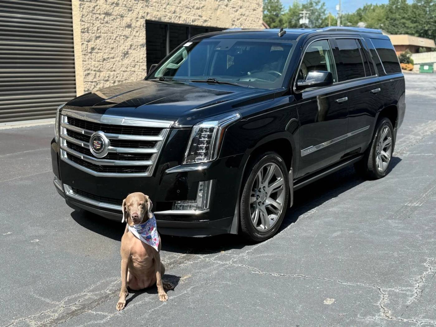 2015 Cadillac Escalade Premium — SUV — 59,346 mi — Alpharetta, GA