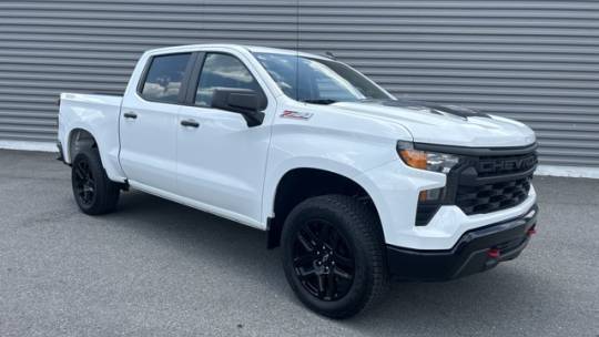2024 Chevrolet Silverado 1500 Custom Trail Boss — Pickup Truck — 11,752 mi — Ft Payne, AL