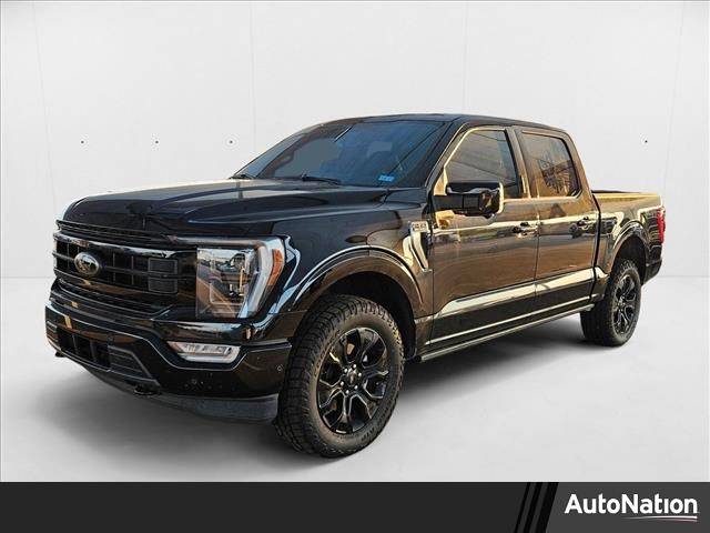 2023 Ford F-150 Platinum — Pickup Truck — 35,000 mi — Fort Worth, TX