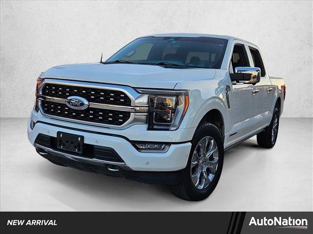 2022 Ford F-150 Platinum — Pickup Truck — 30,748 mi — Fort Worth, TX