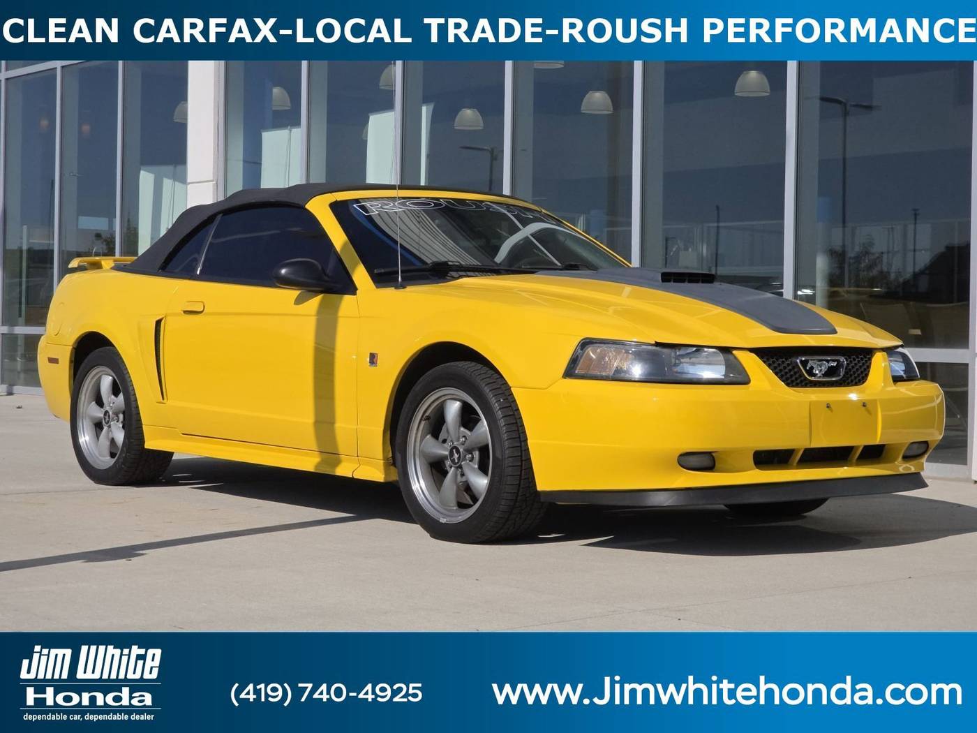 2004 Ford Mustang GT Deluxe — Convertible — 107,062 mi — Maumee, OH