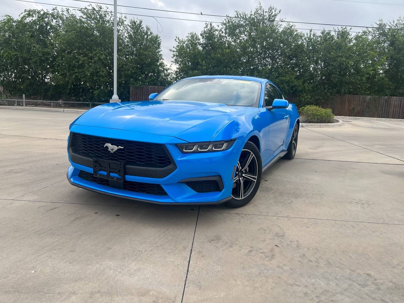 2024 Ford Mustang EcoBoost — Coupe — 8,833 mi — Corpus Christi, TX