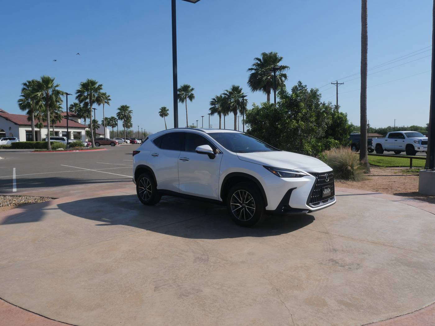 2024 Lexus NX NX 250 Premium — SUV — 14,963 mi — San Juan, TX