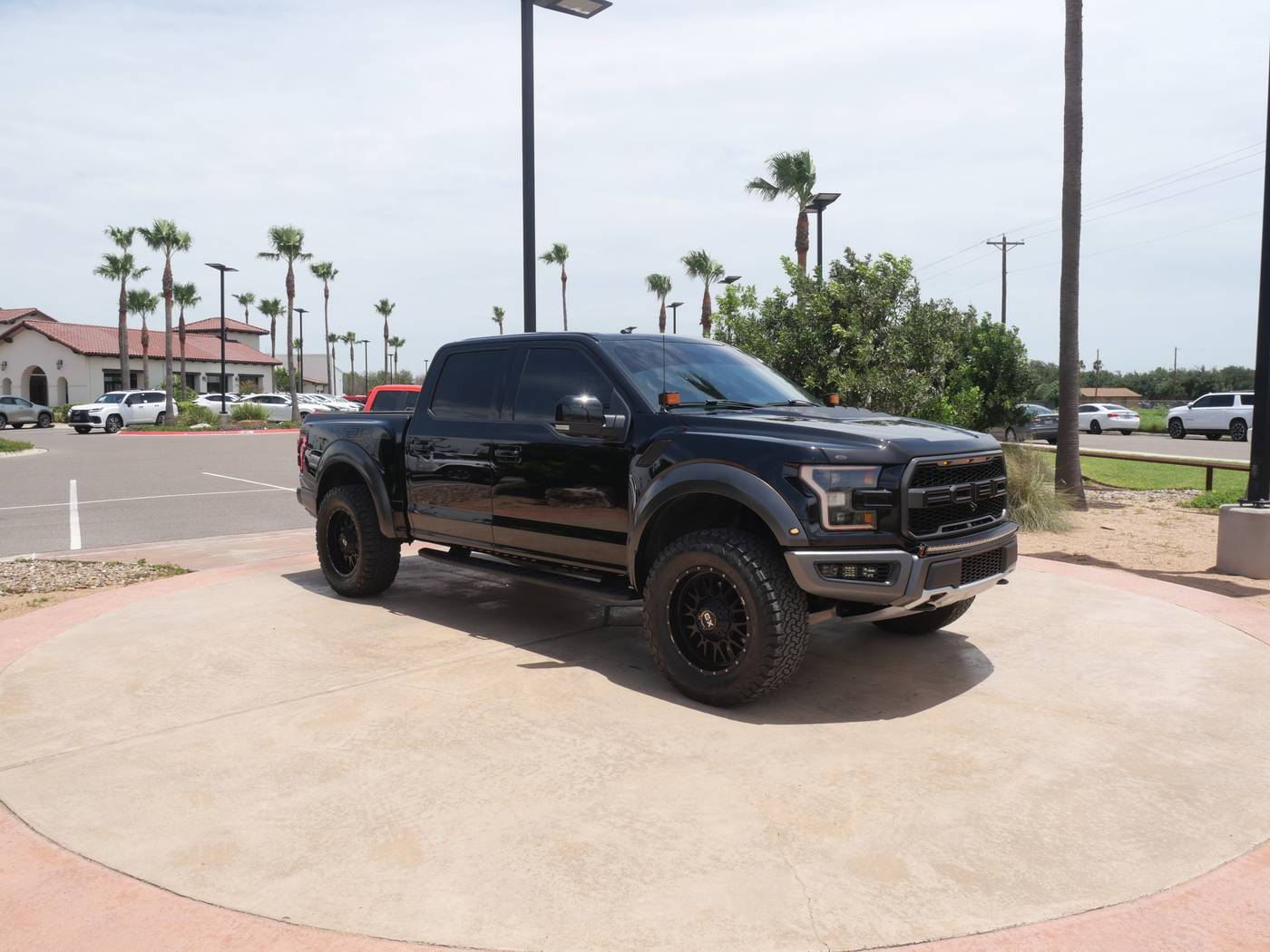 2017 Ford F-150 Raptor — Pickup Truck — 103,500 mi — San Juan, TX