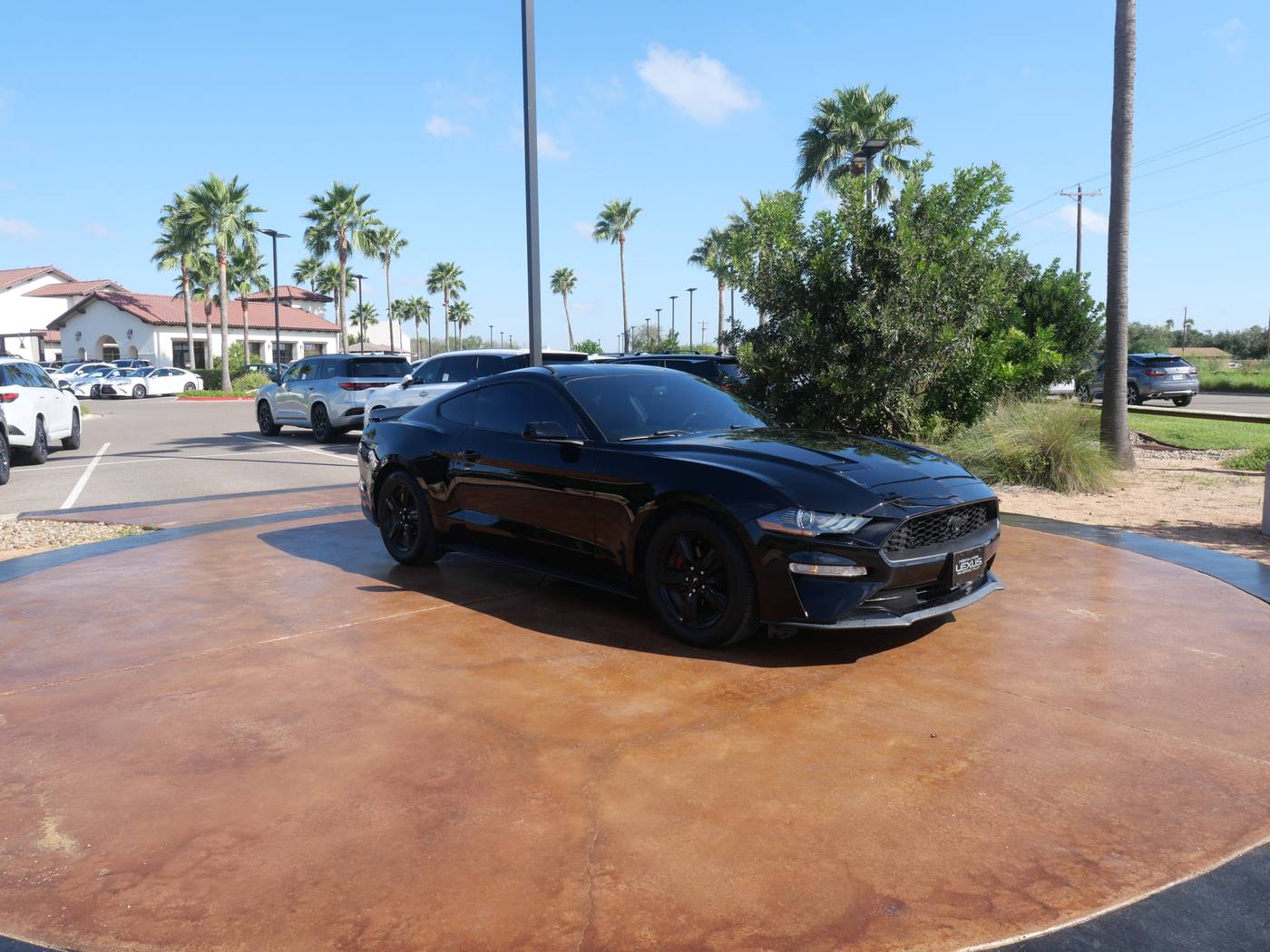 2019 Ford Mustang EcoBoost — Coupe — 43,261 mi — San Juan, TX