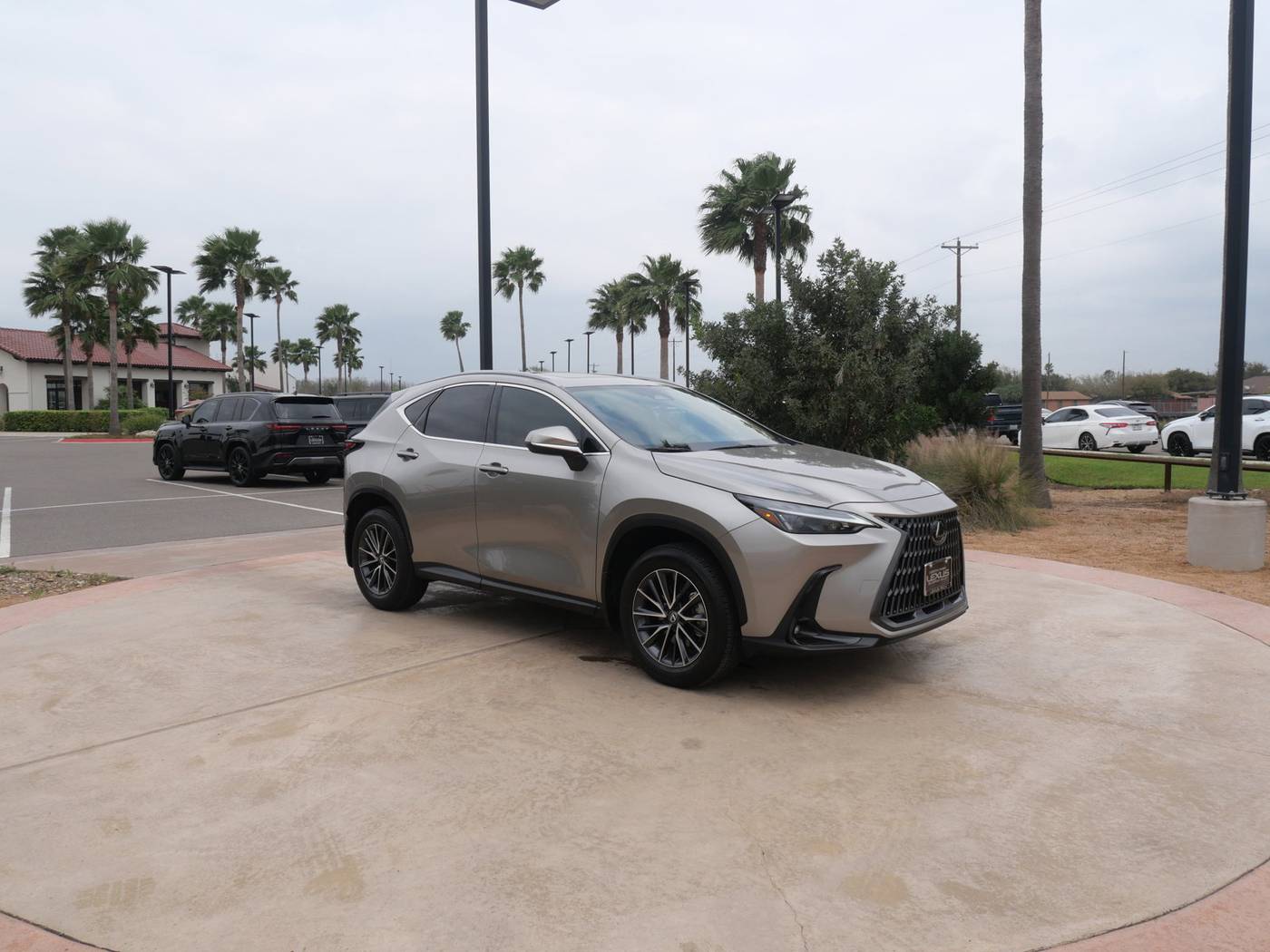 2024 Lexus NX NX 250 — SUV — 8,914 mi — San Juan, TX