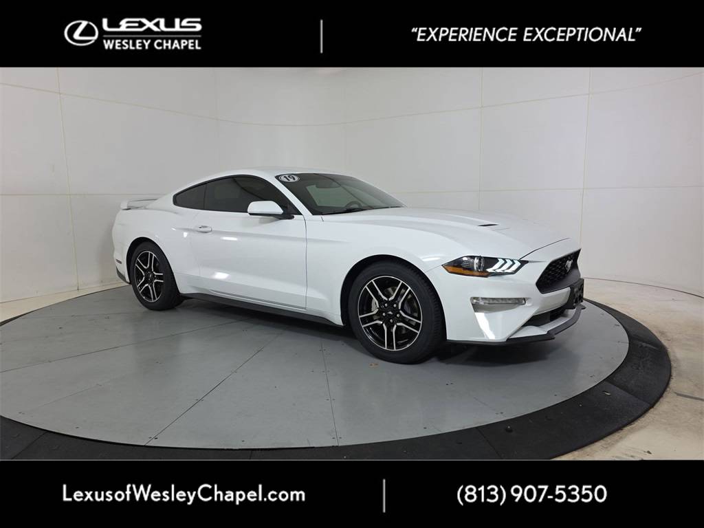 2019 Ford Mustang EcoBoost — Coupe — 55,046 mi — Wesley Chapel, FL